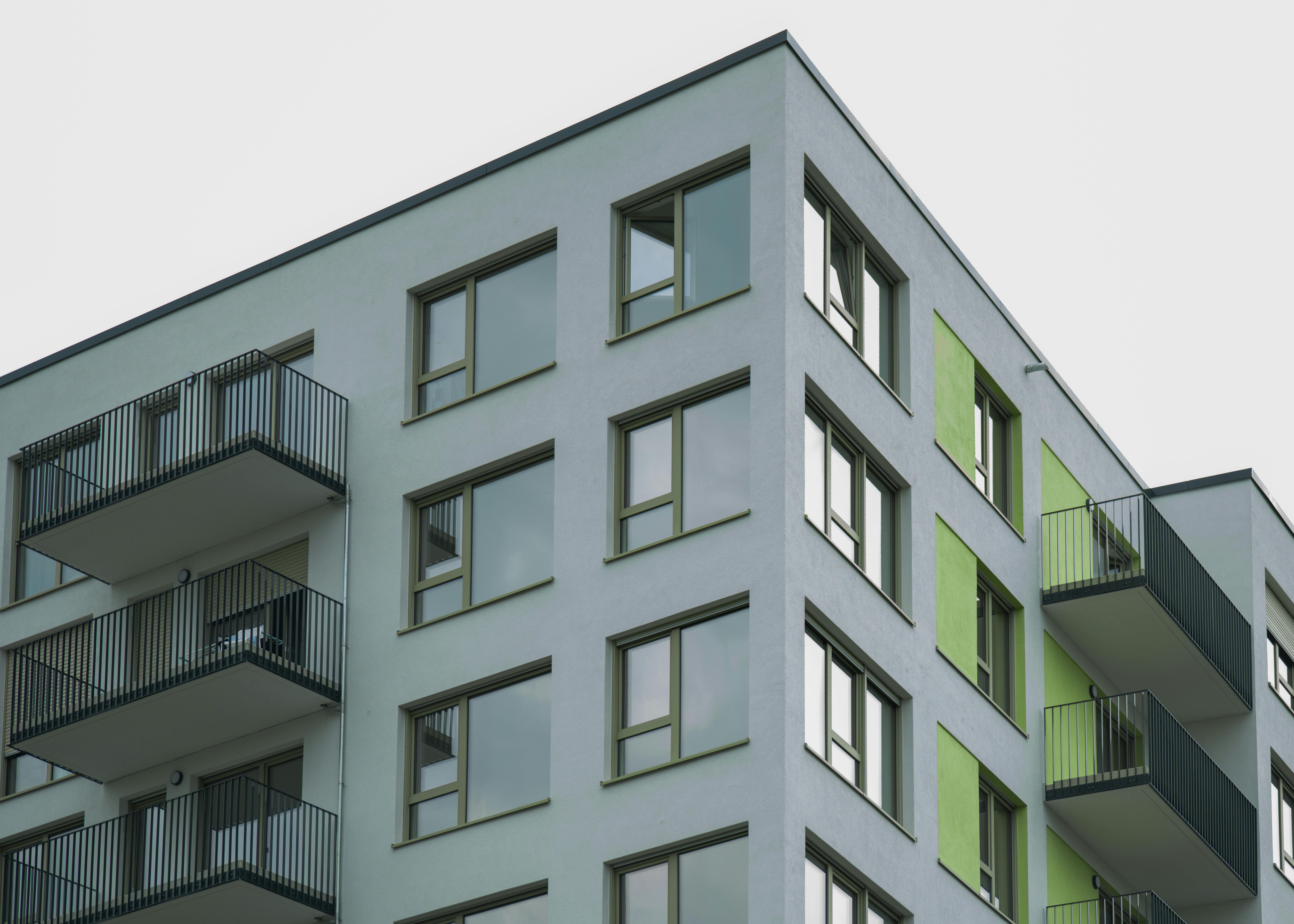 pexels photo 33230969 33230969 1